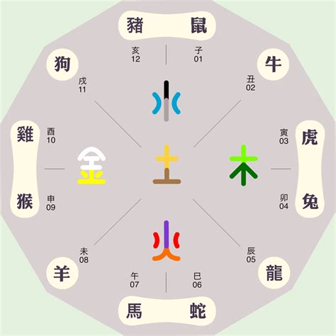 芷的五行|芷字的五行属性